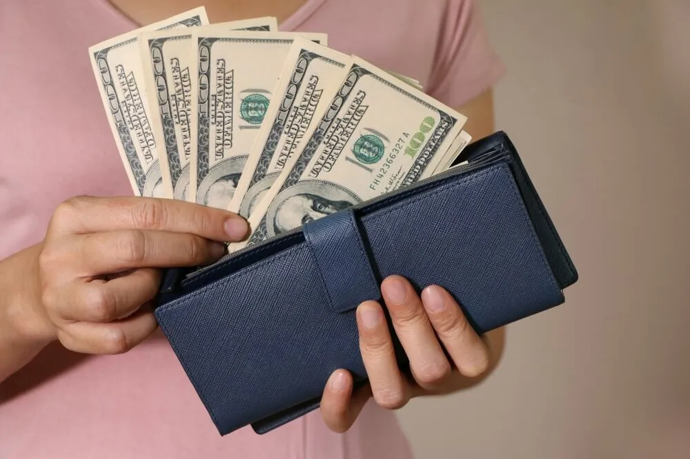 a-womans-hand-holding-a-purse-and-many-dollar-in-her-hand_t20_1QlO8x.jpg