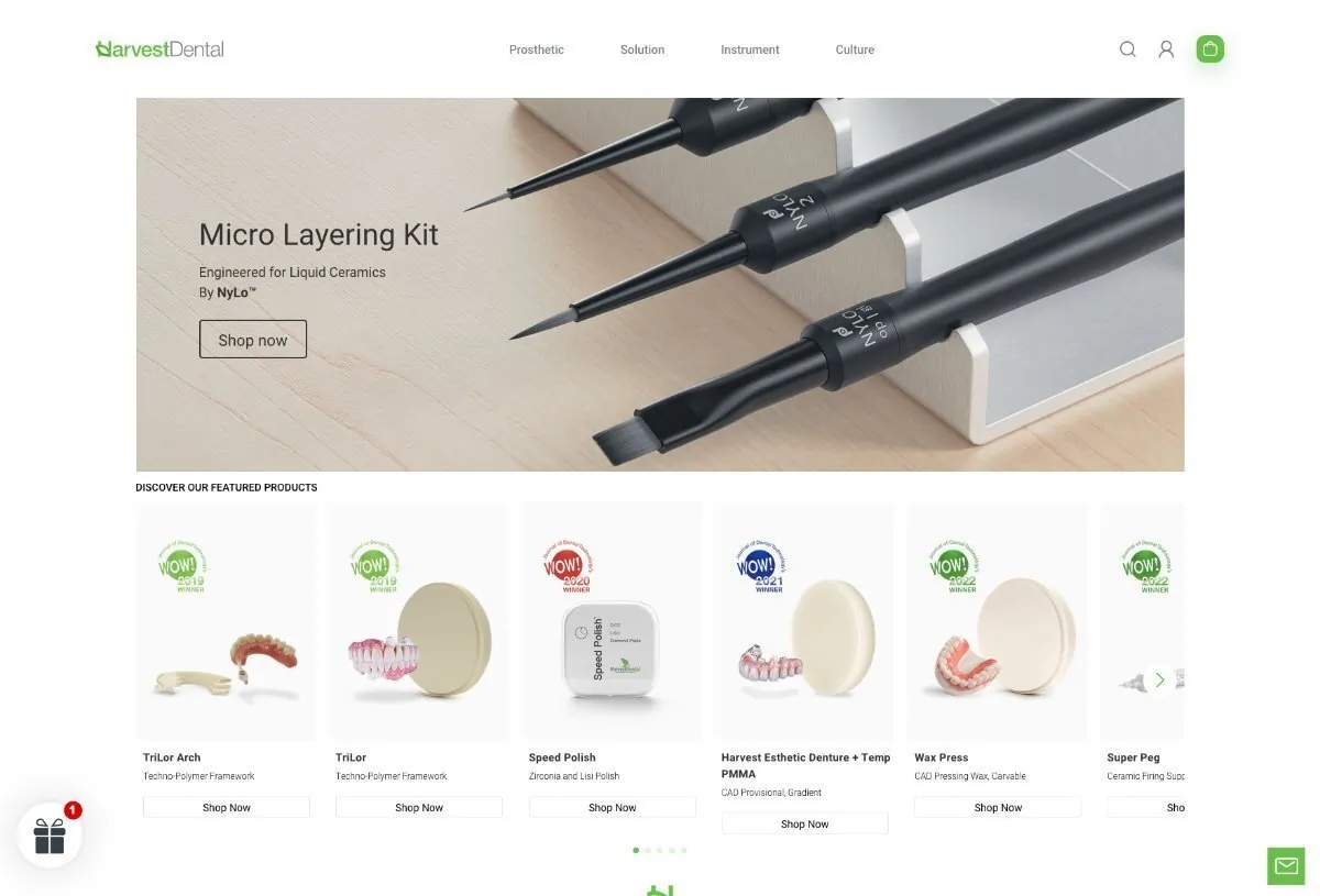 E-commerce store screenshot — case study