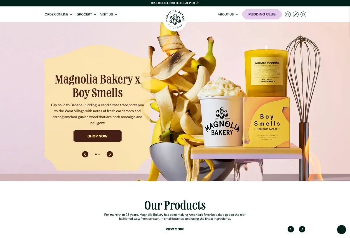 E-commerce store screenshot — case study